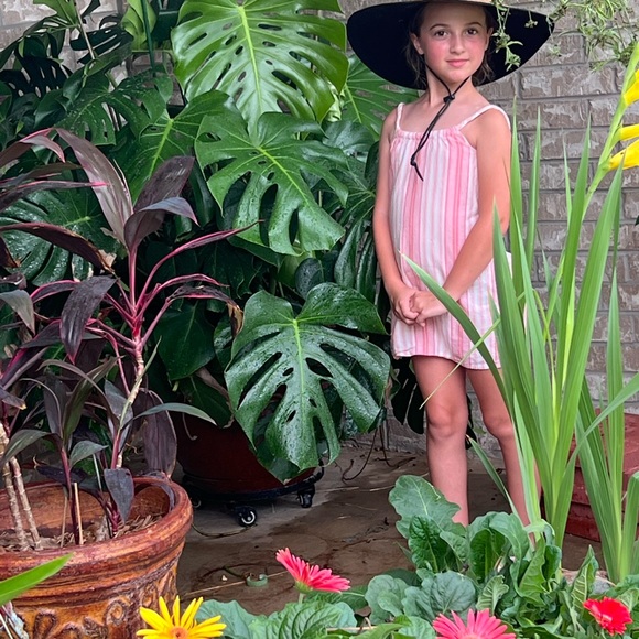 Meet your Posher, Misty - Picture 2 of 16